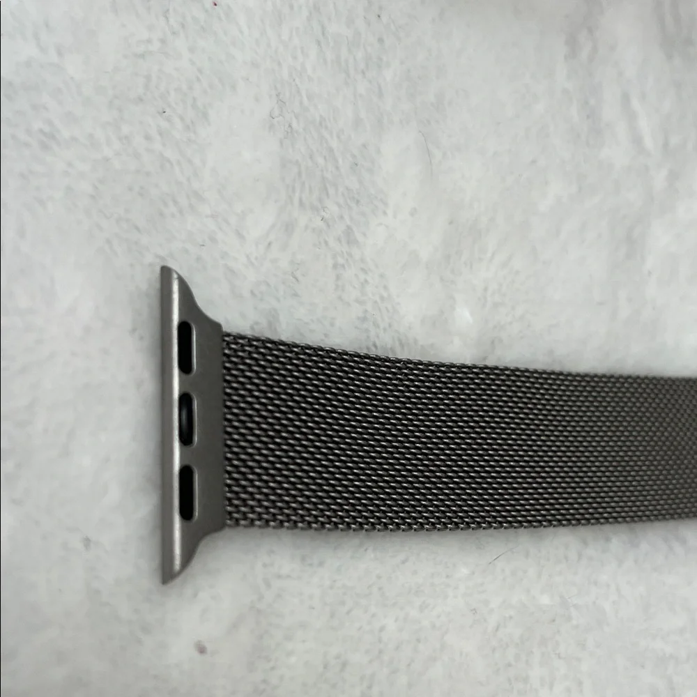 NWT Silver Mesh Apple Watch Band